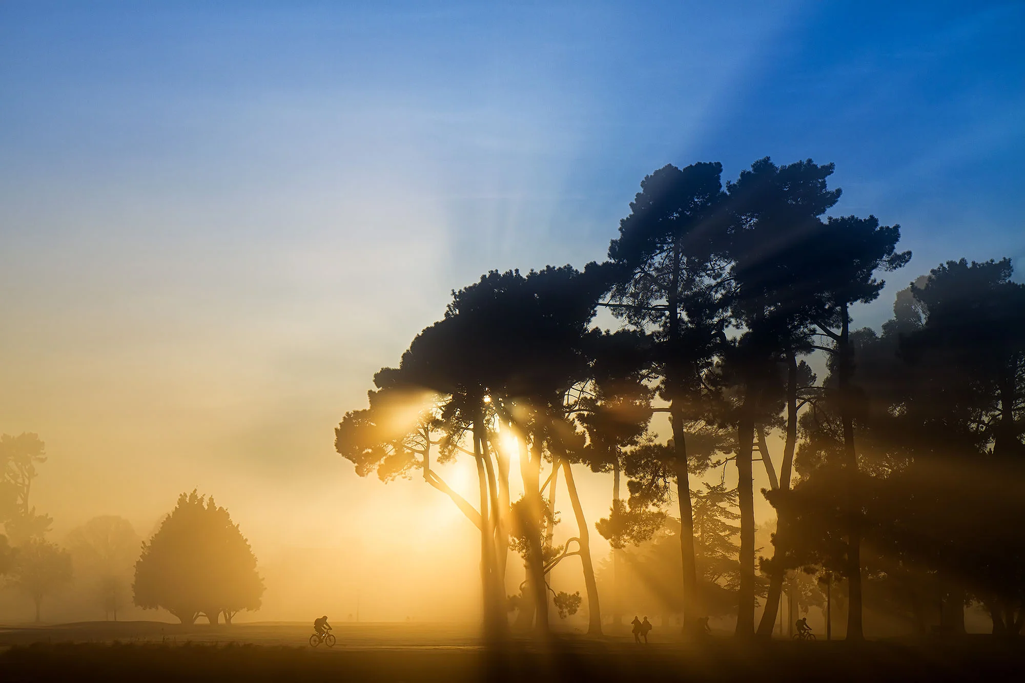 Misty Hagley Park