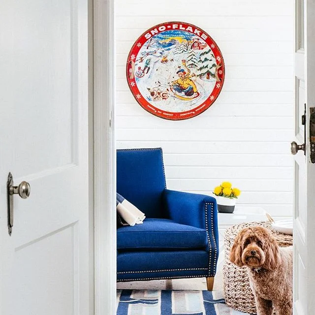 Hot days like this make us ALL grateful we #whitewashed the cedar room...@sconniepup included! Thanks @noznozawa and @colinprice for the photo. #lakehouse #whitewalls #summerdecor #humboldthome