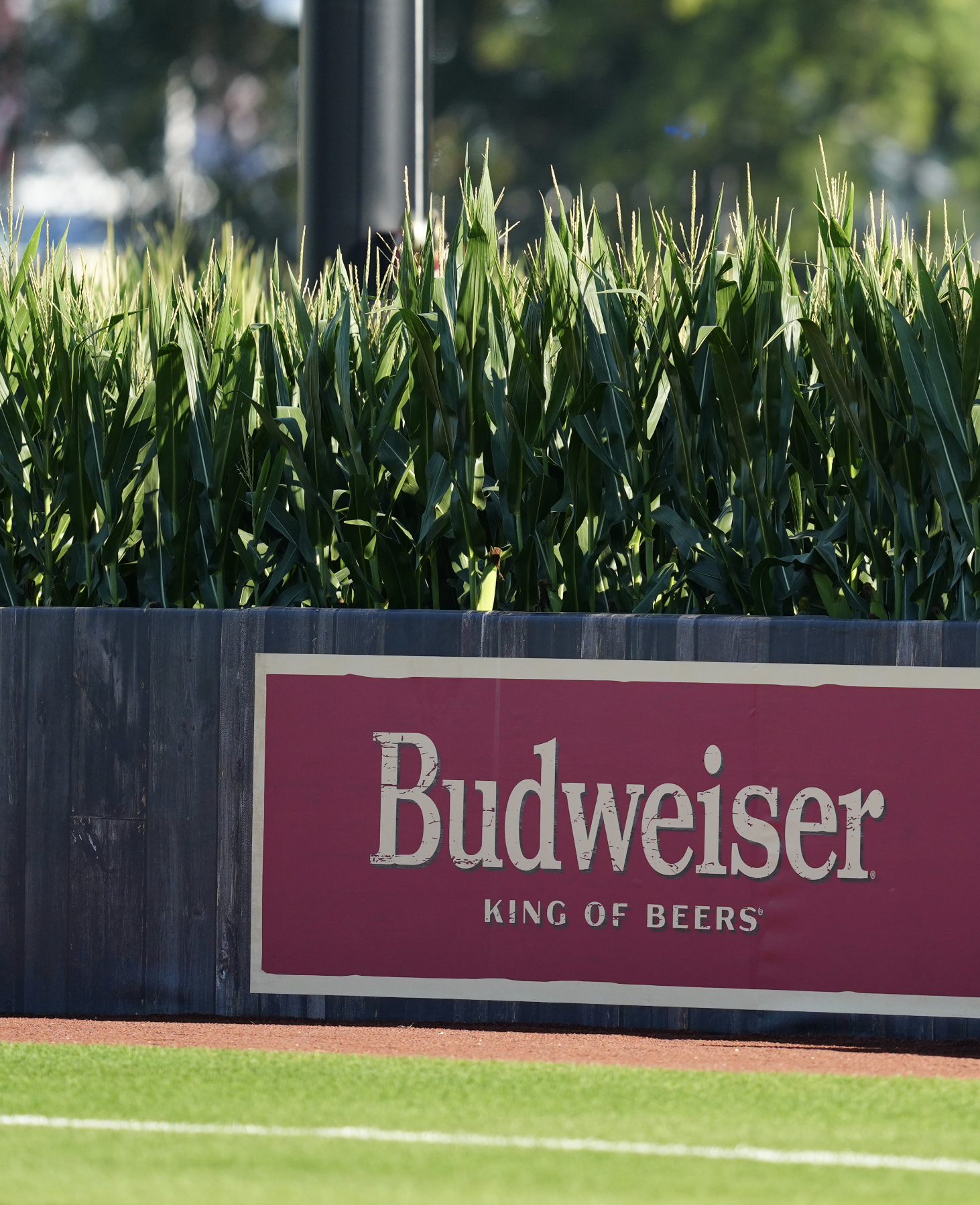 Screen Shot 2022-09-05 at 5.20.58 PM.png