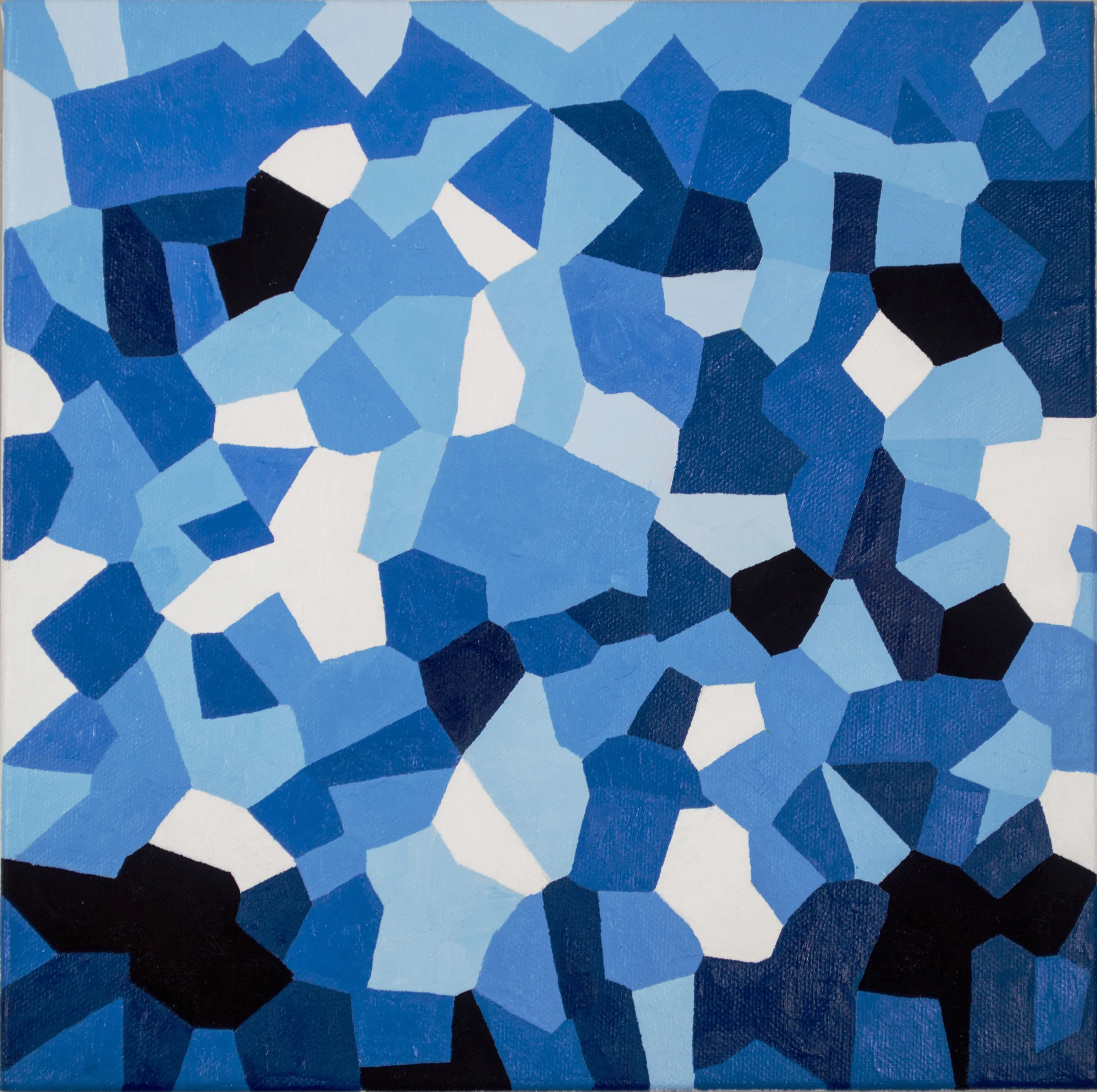 Caribbean Blue, Black, and White 2017