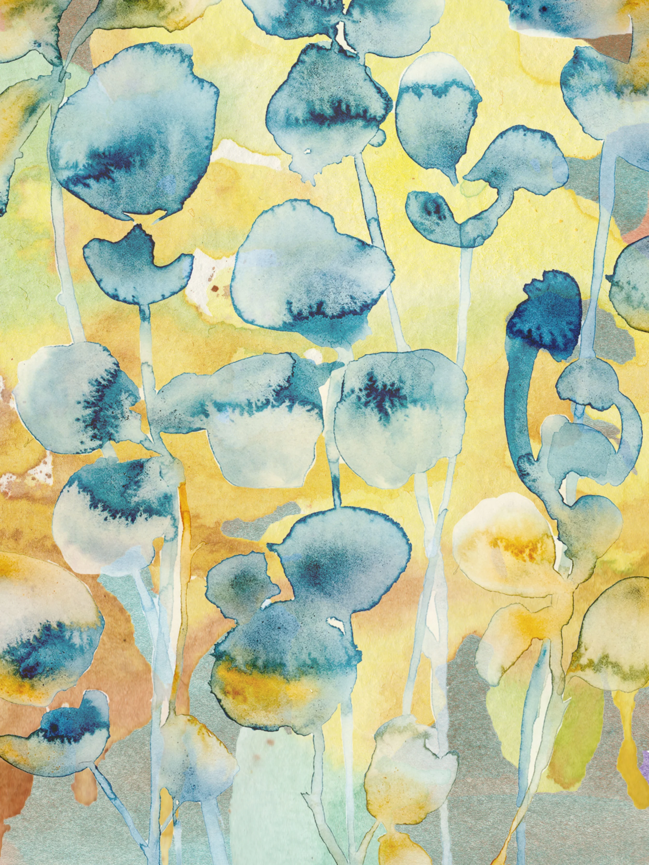 BlueandYellow.jpg