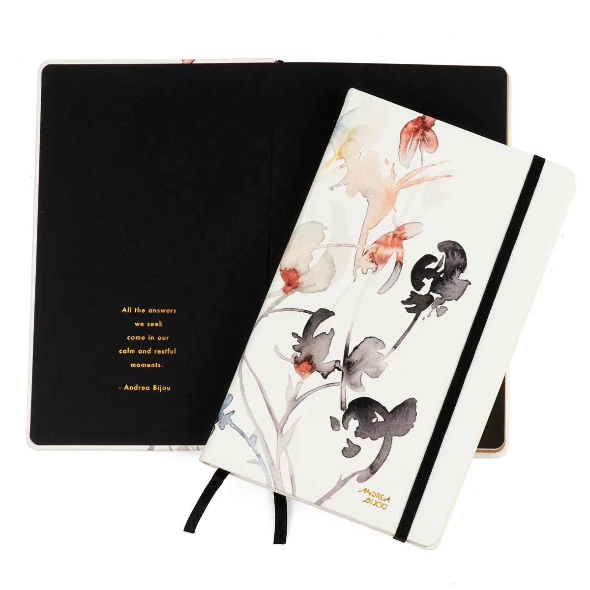 TwoBookBlackInterior.jpg
