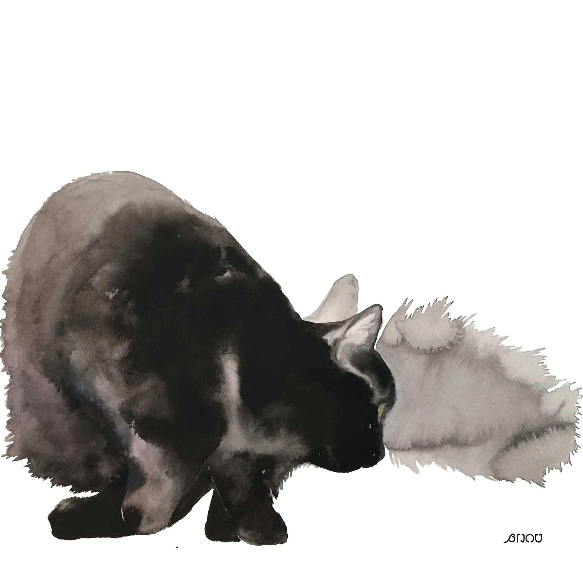 Crouching Cat 2017