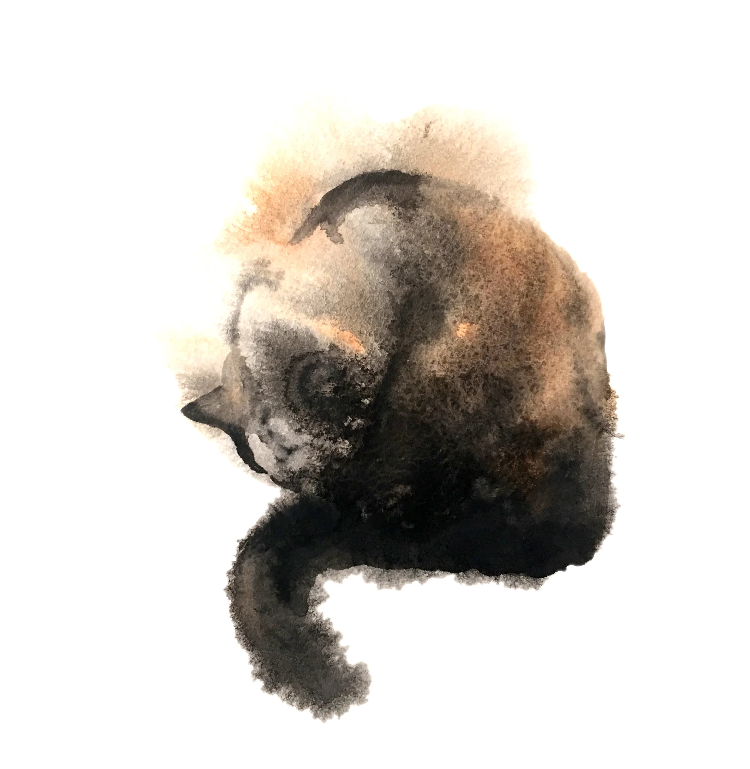 Lick 6x6 inches Watercolor on Paper