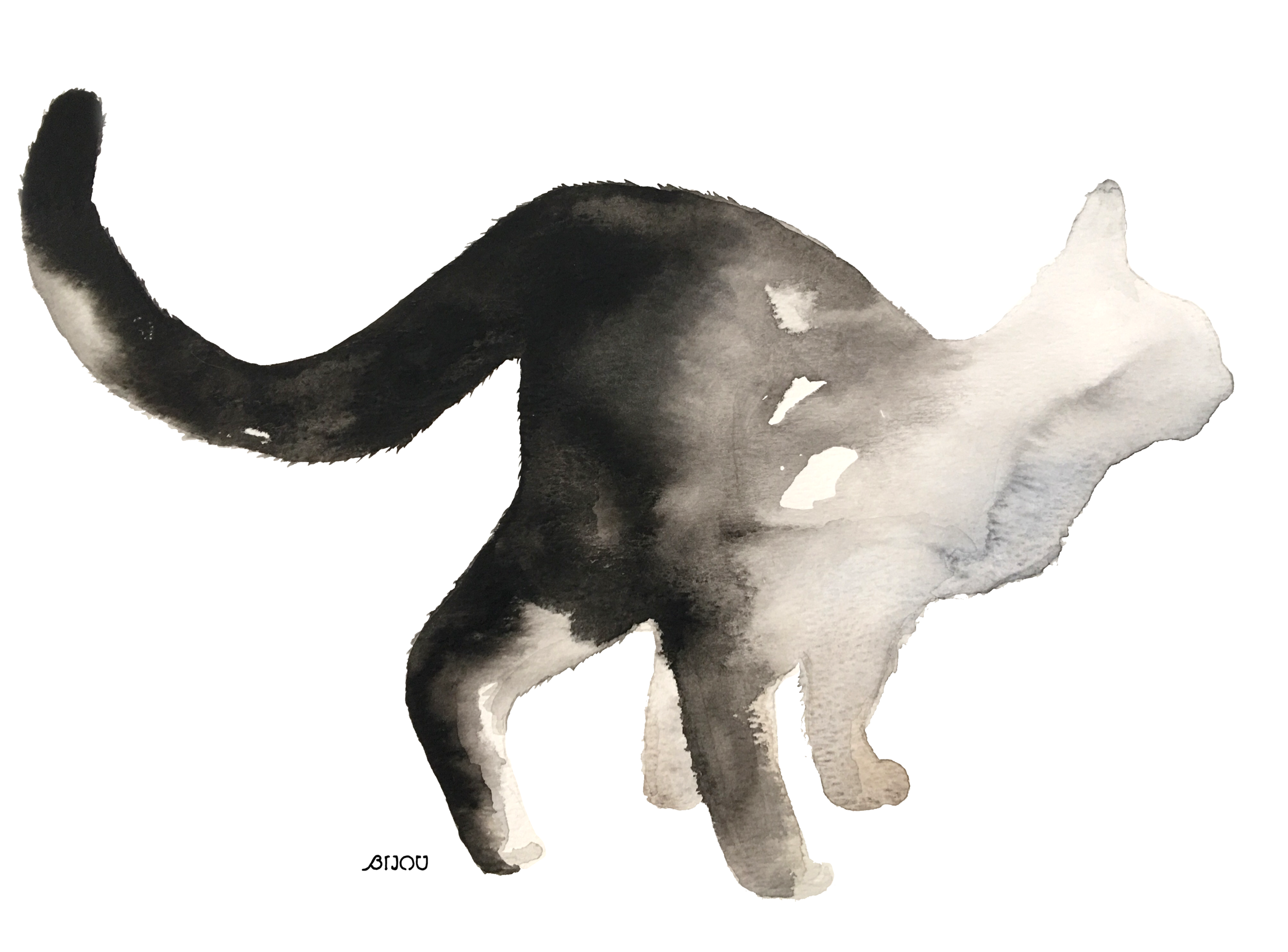 Pounce 11x15 inches Watercolor on Paper