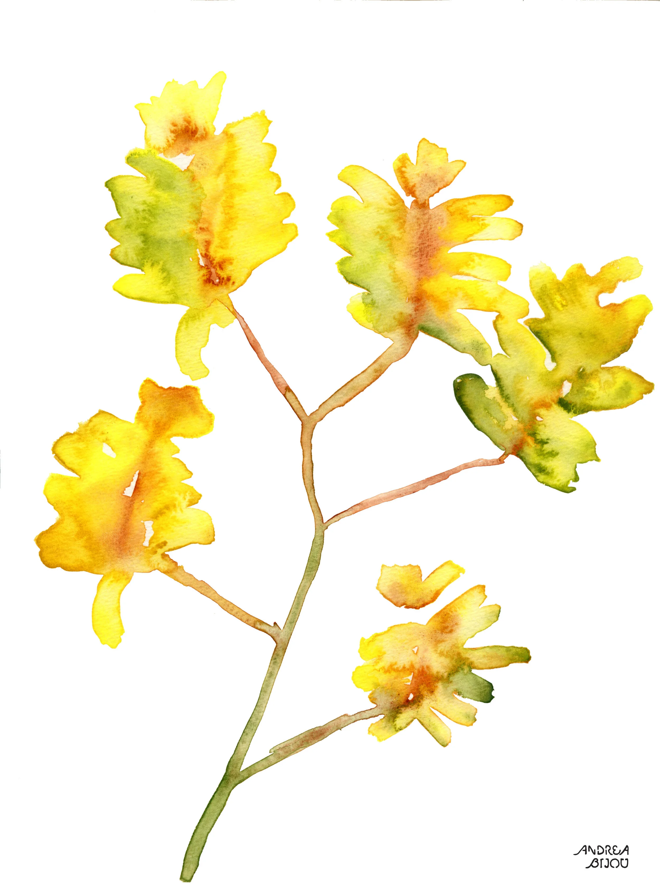 YellowFlowers.jpg