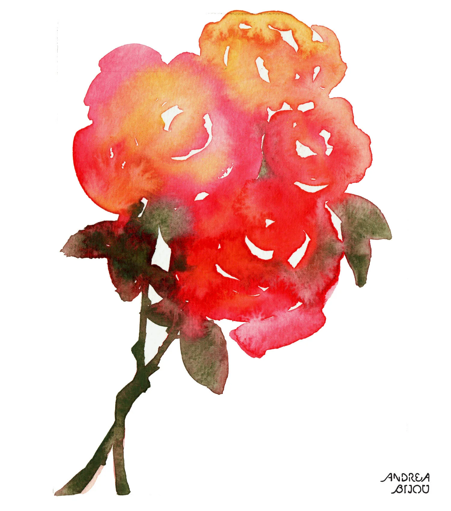 Roses1.jpg