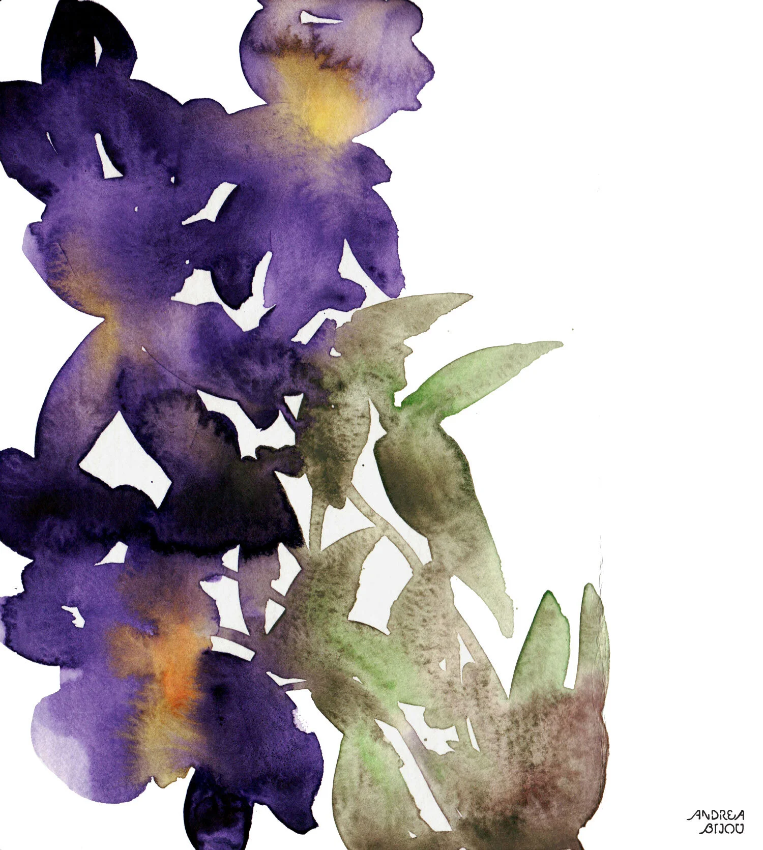 IrisFlowers.jpg
