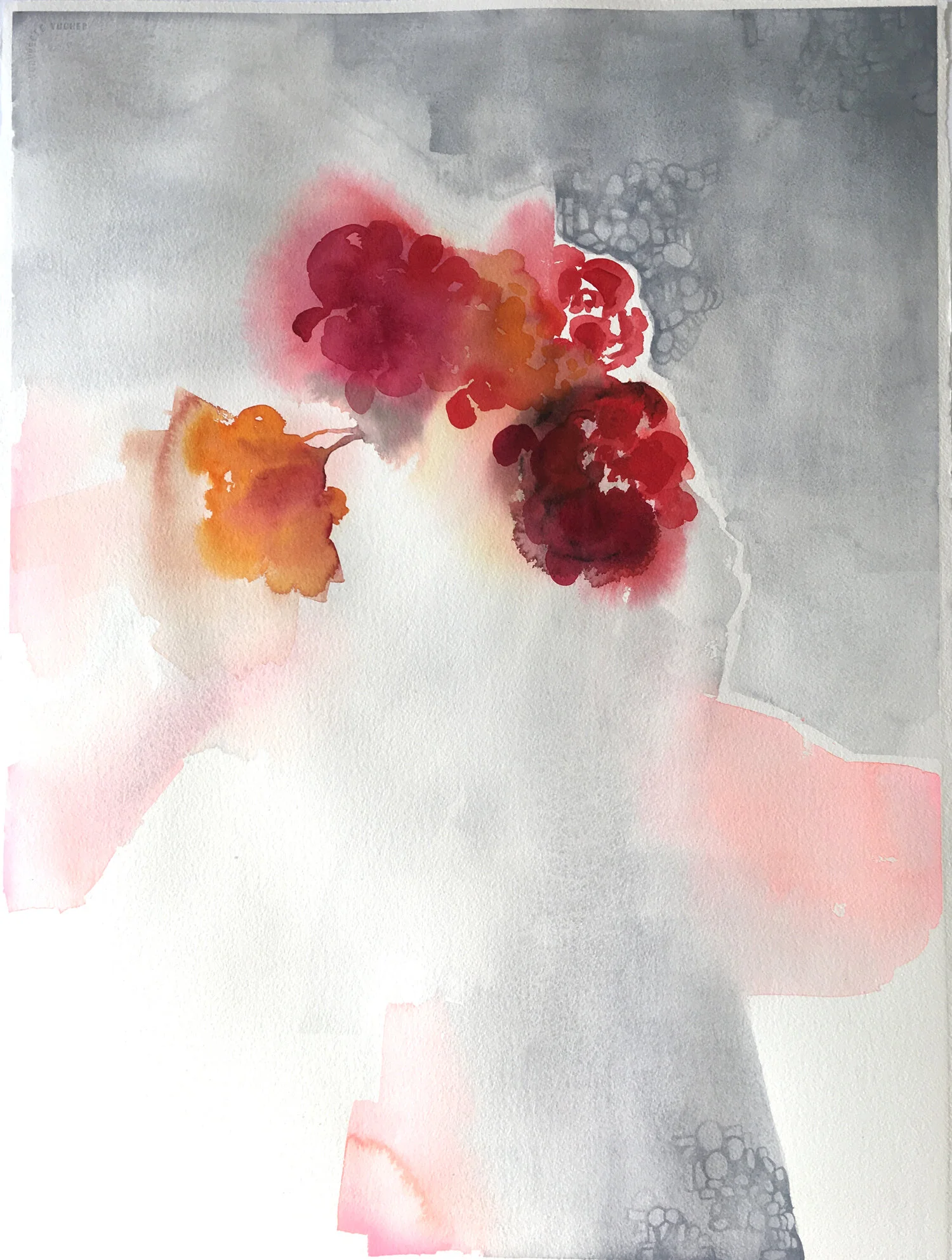 Bloom 2019