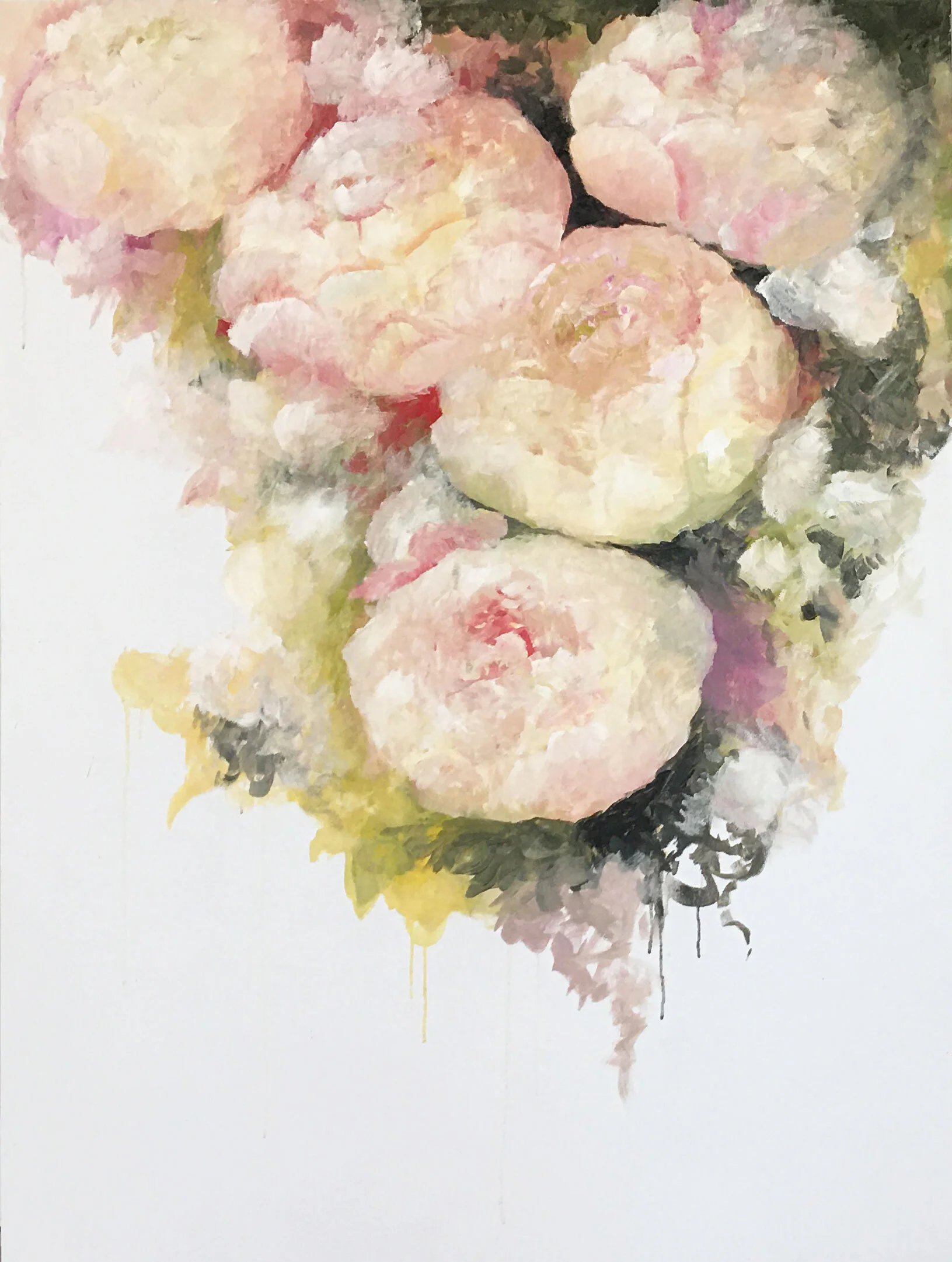 Peonies 2020