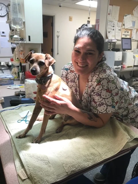 Lacia and Sissy free style.JPG