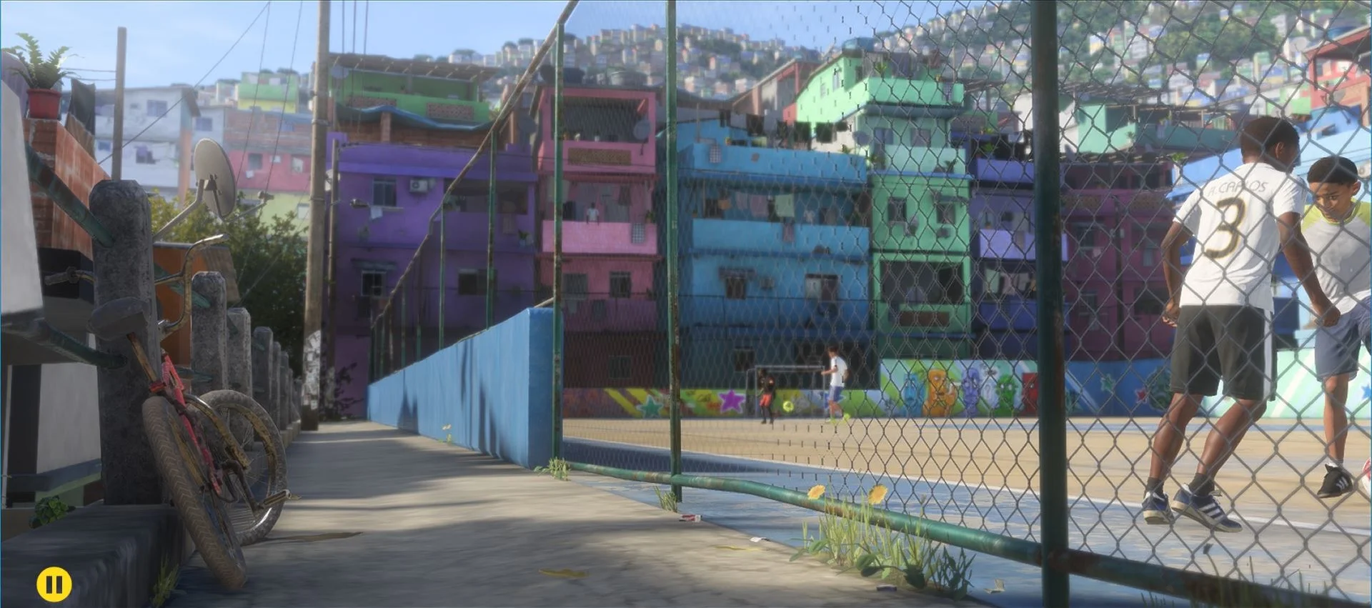 forrest-mex-intro3.jpg