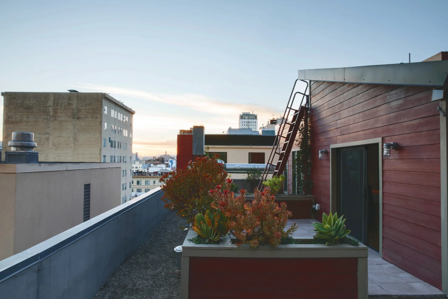 Tilden_Rooftop.jpeg