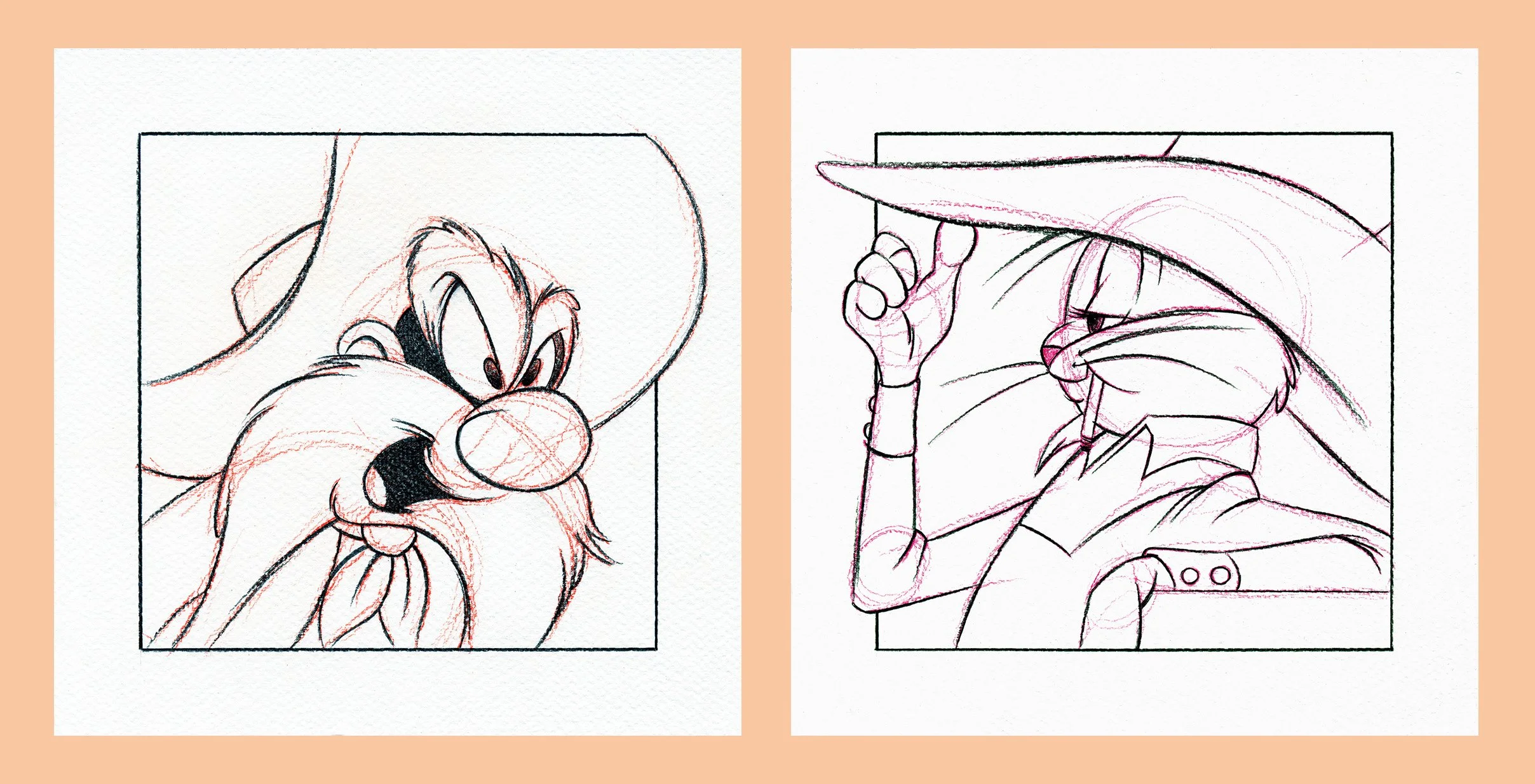 Shadowboxers - Sketch Sam Bugs.jpg