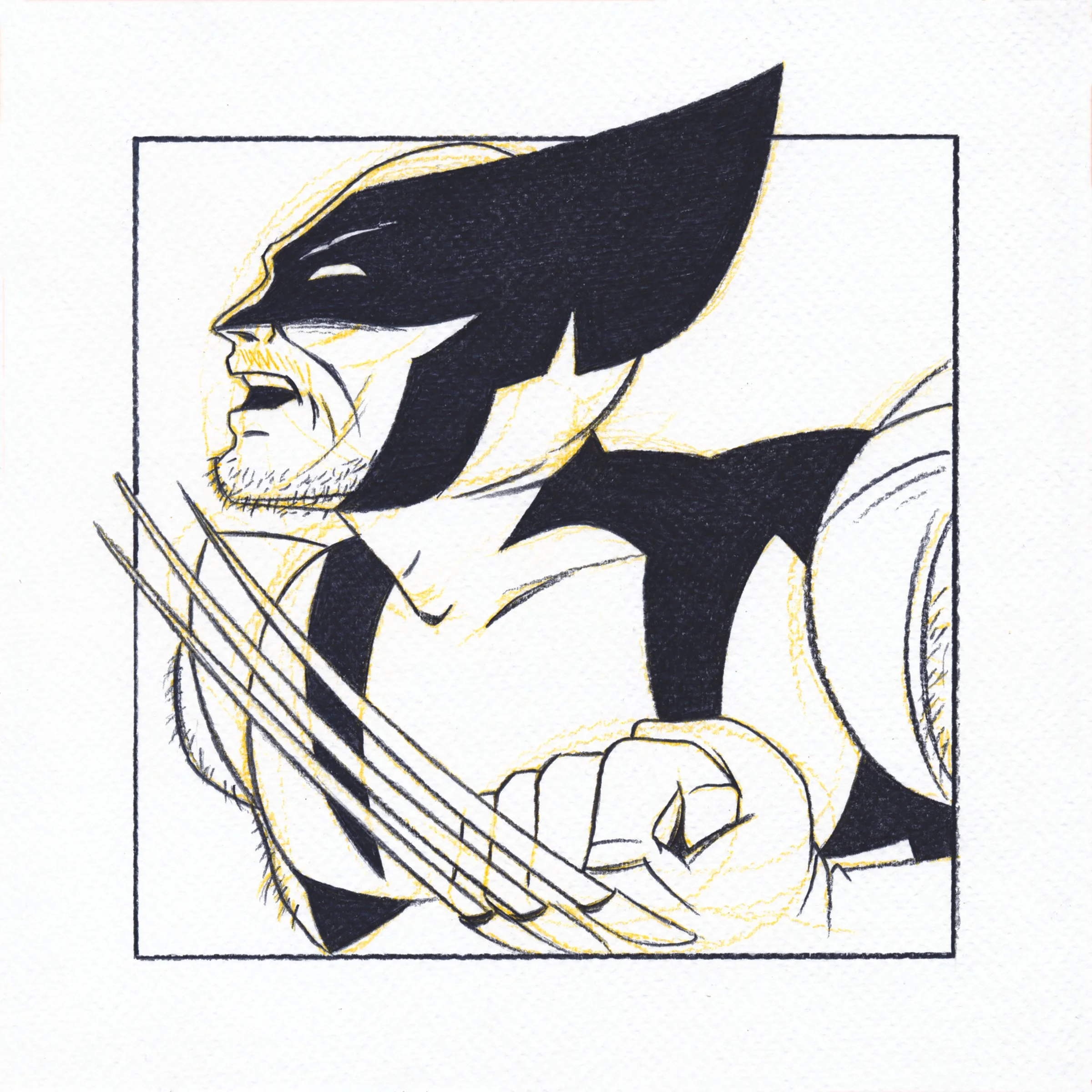 Wolverine.jpg