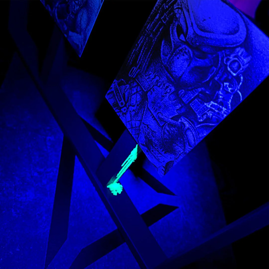 Shadowboxers - Dutch vs Predator copy 2.jpg