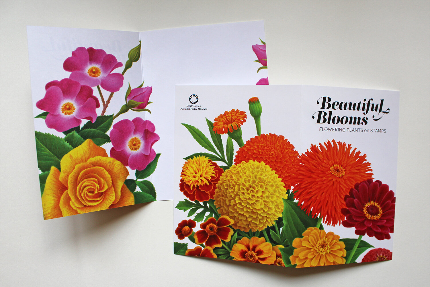 Beautiful Blooms: Flowering Plants on Stamps