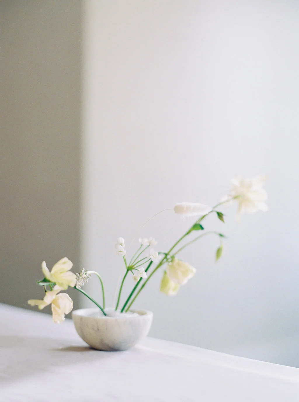 Kelsea_Holder_Photography_Rava_Wines_Bloom_Floral_and_Foliage_2.jpg