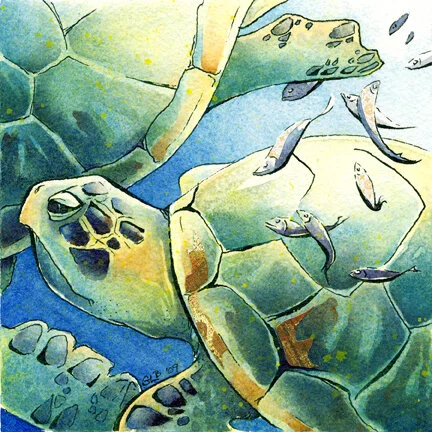 Sea_Turtle3_email.jpg