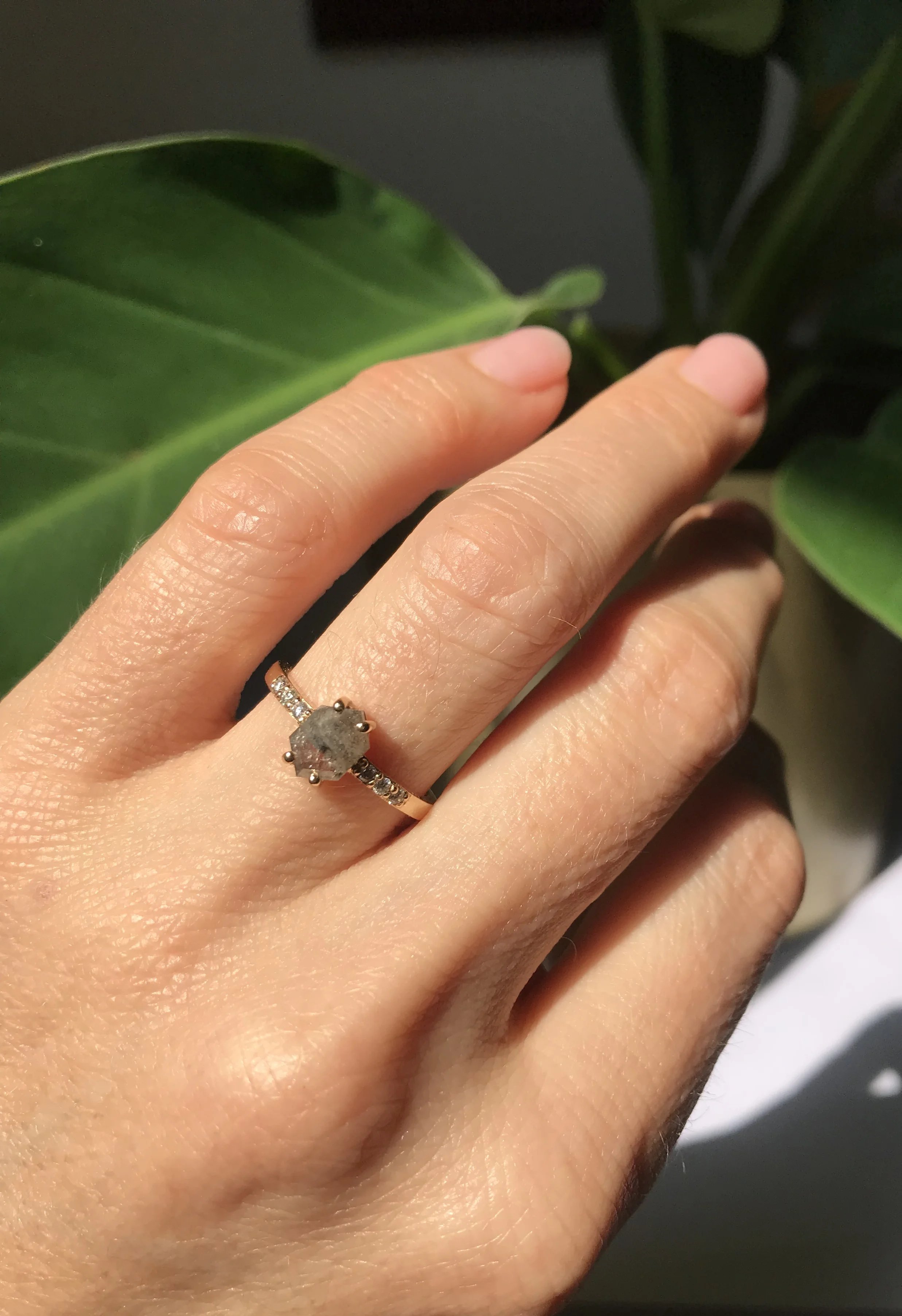 BB0DBF90-9224-4941-9D7C-4E352E089902