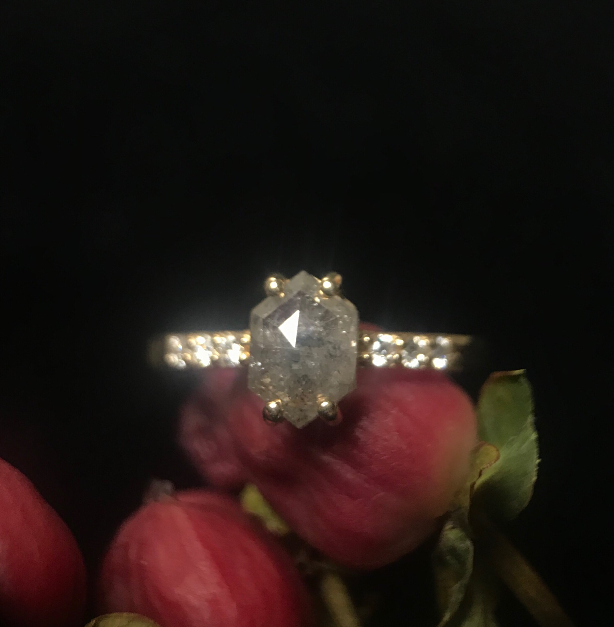 1C6AB5FF-3205-4224-A7F0-5E0F5180FC4D