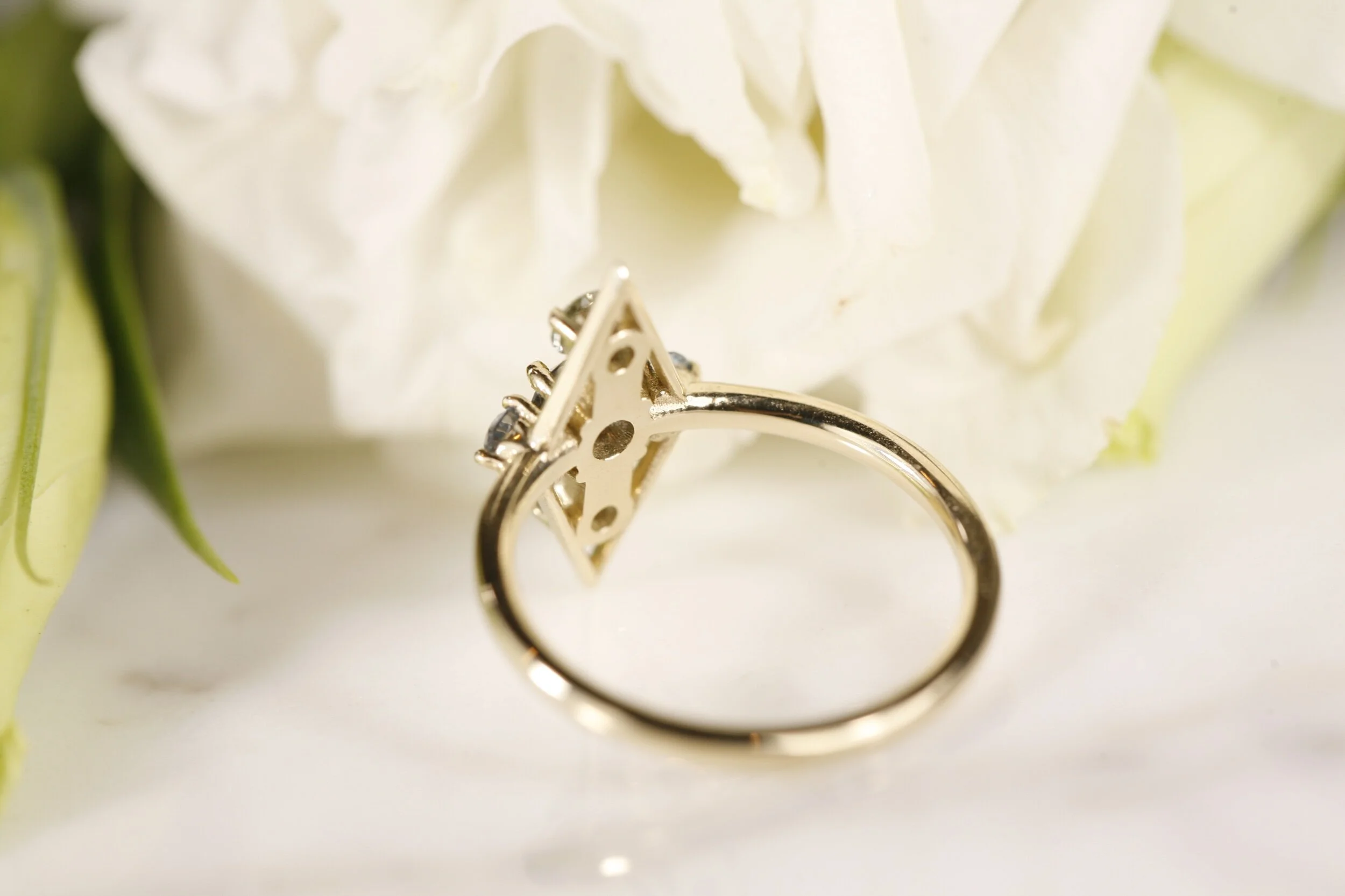 B2EEA307-0E49-49CD-B4EA-11AEEE7C4384