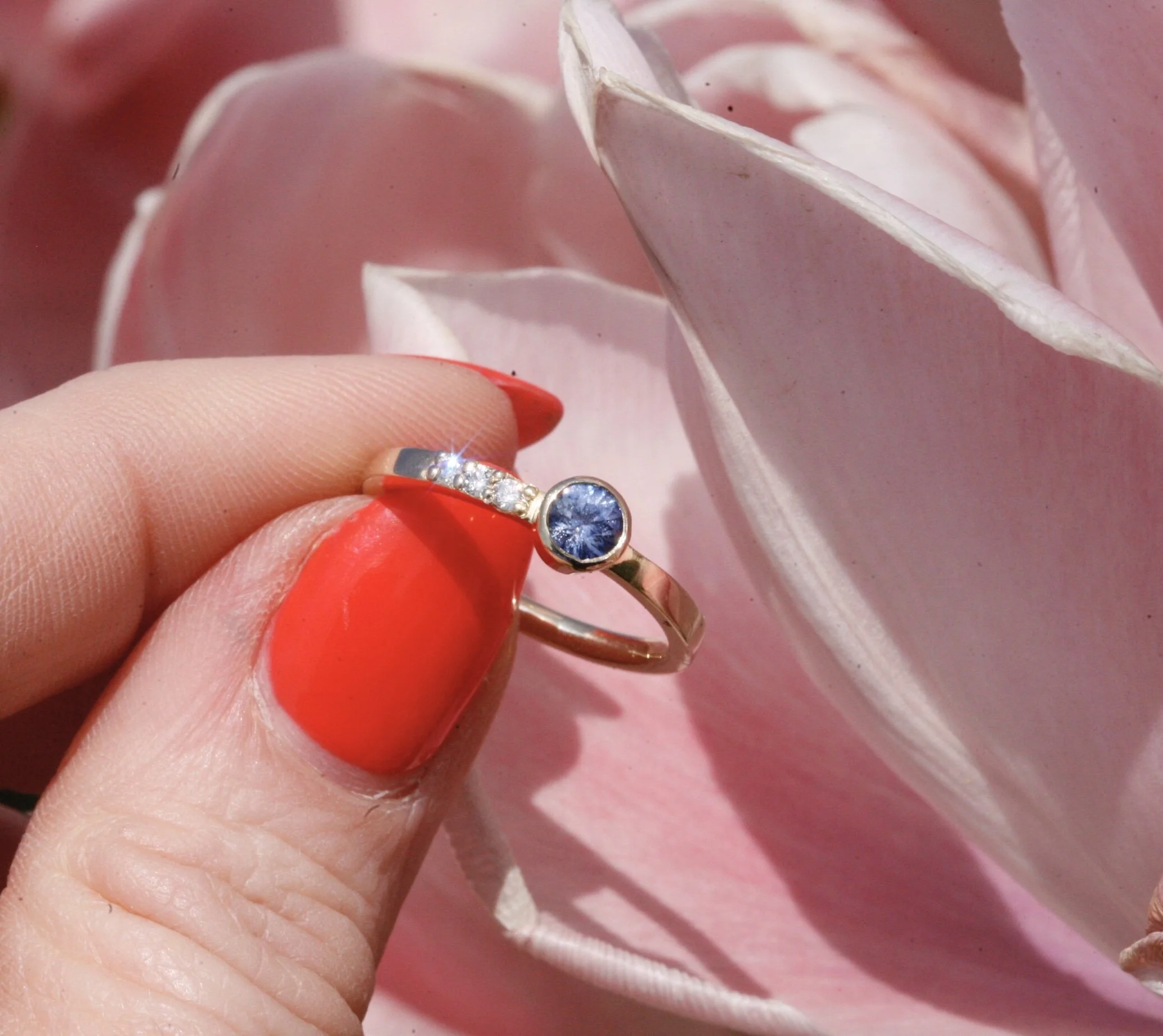 5D408E79-6D83-467A-9627-B0B6D8B167B5