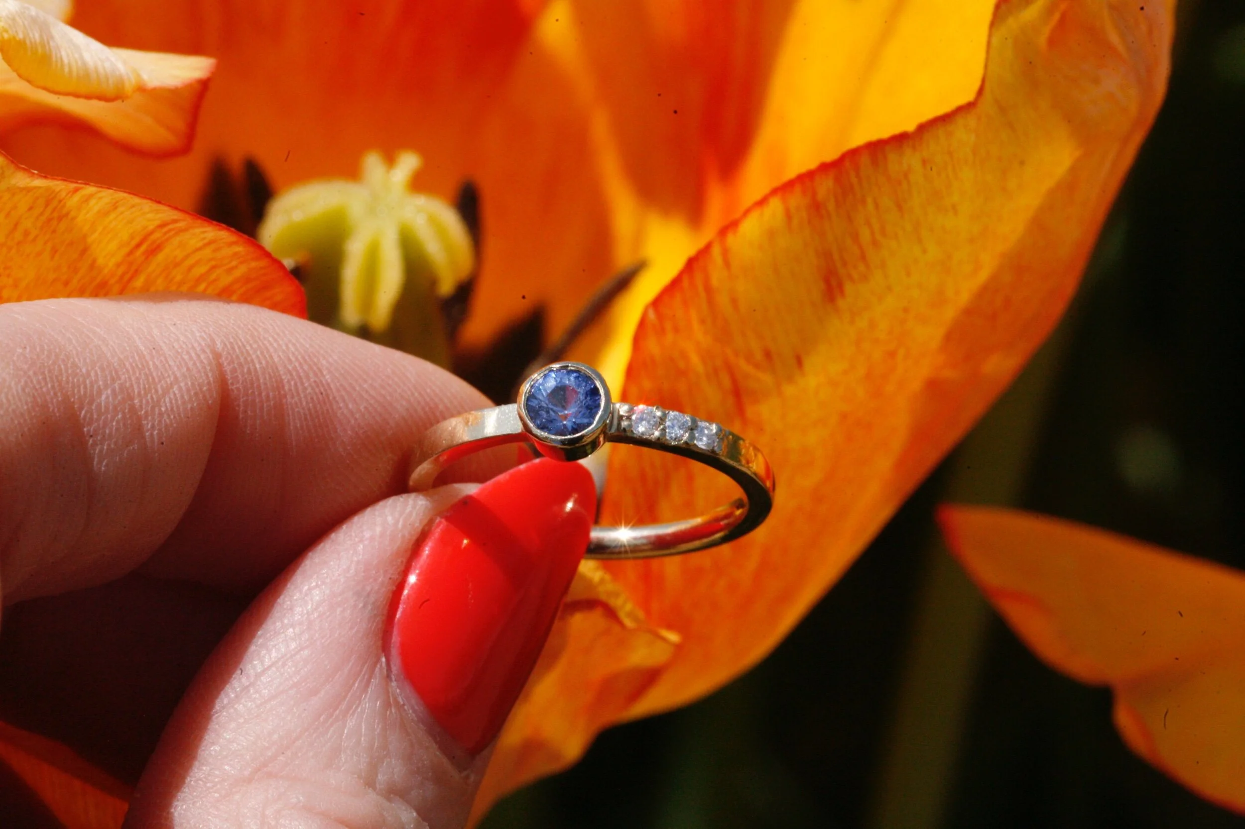 631EA22A-8154-41A8-86D4-2C5D9E544043