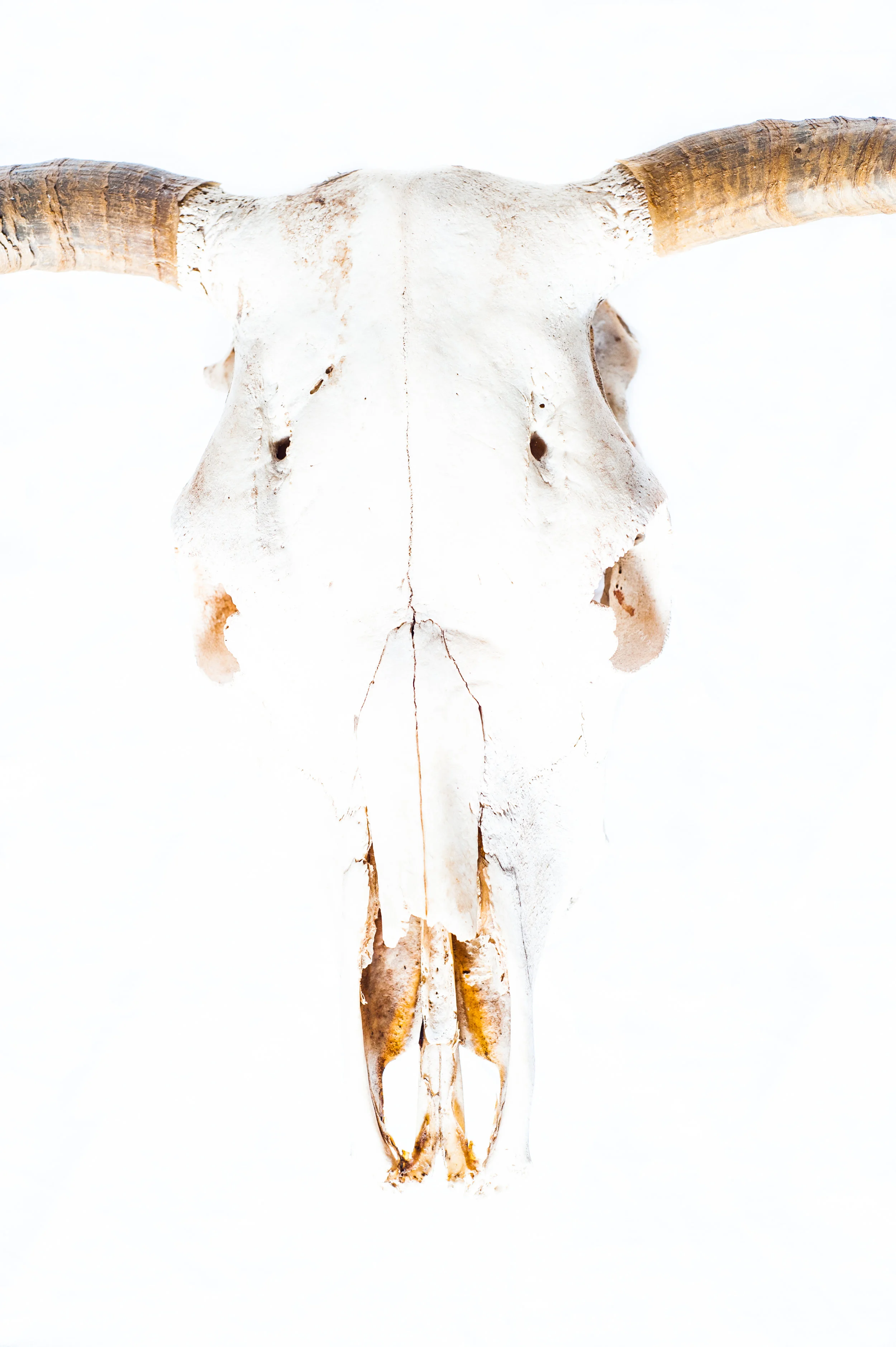 DSC_6883-Edit.jpg
