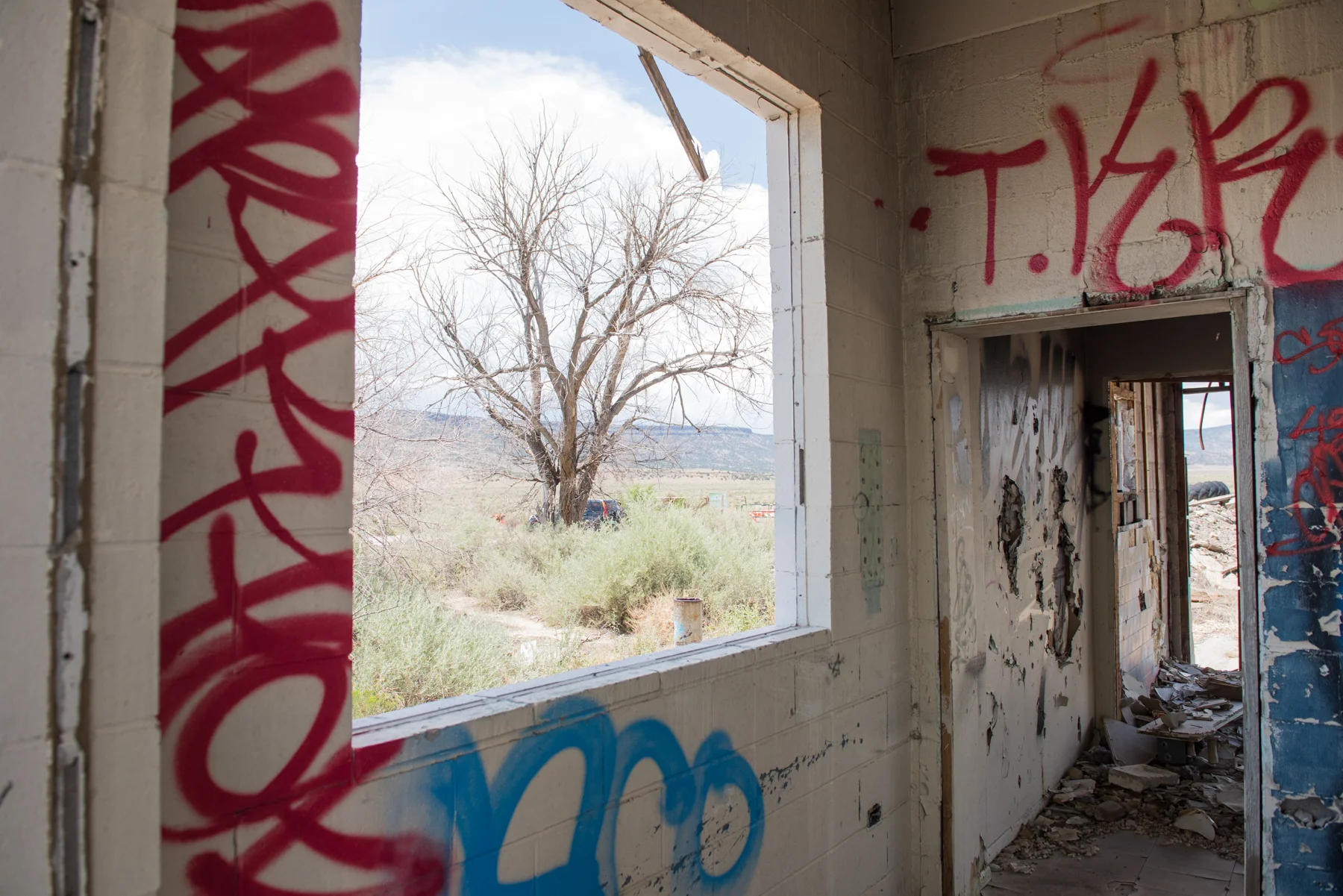 athompsonphotography___DSC7189.jpg