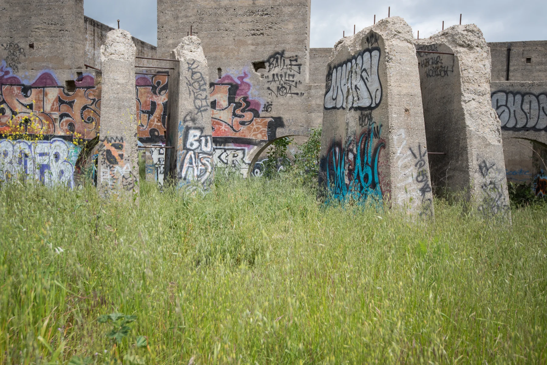 athompsonphotography___DSC7675.jpg