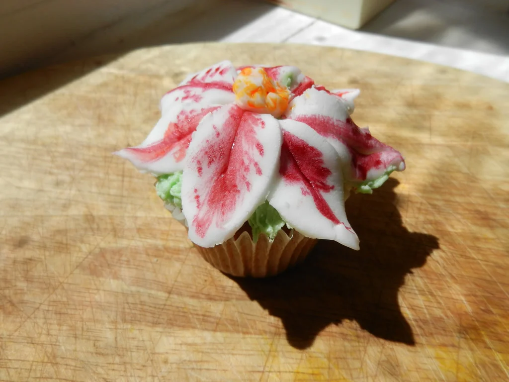 Bridesmaids- The Film Cupcakes