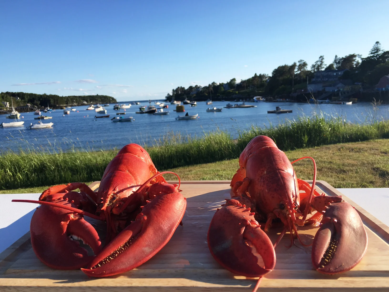 Lobster with a garlic herb butter dip and homemade grapefruit and dill mayonnaise
