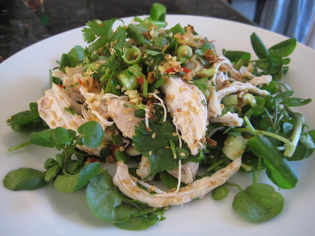 Asian chicken salad