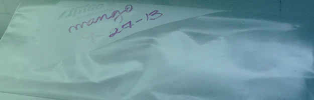 My Misadventures in Gardening: Mango Beginnings