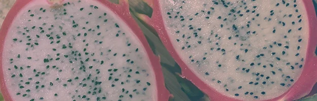 My Misadventures in Gardening: Dragonfruit with a bit of Kiwi