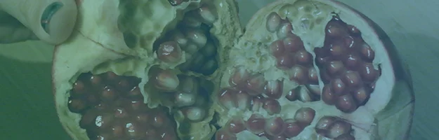 My Misadventures in Gardening: Pomegranate