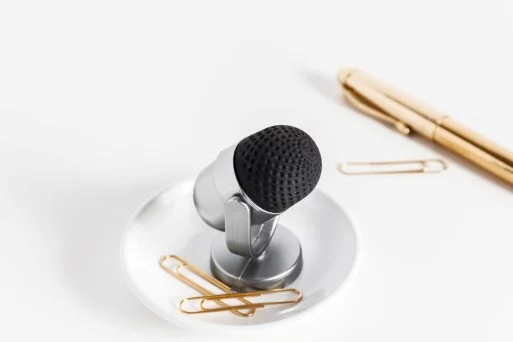 mic.jpg