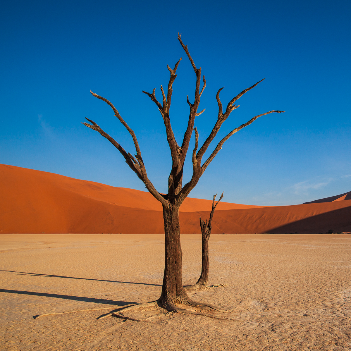 Deadvlei The Iconic African Landscape Photography Location In Namibia