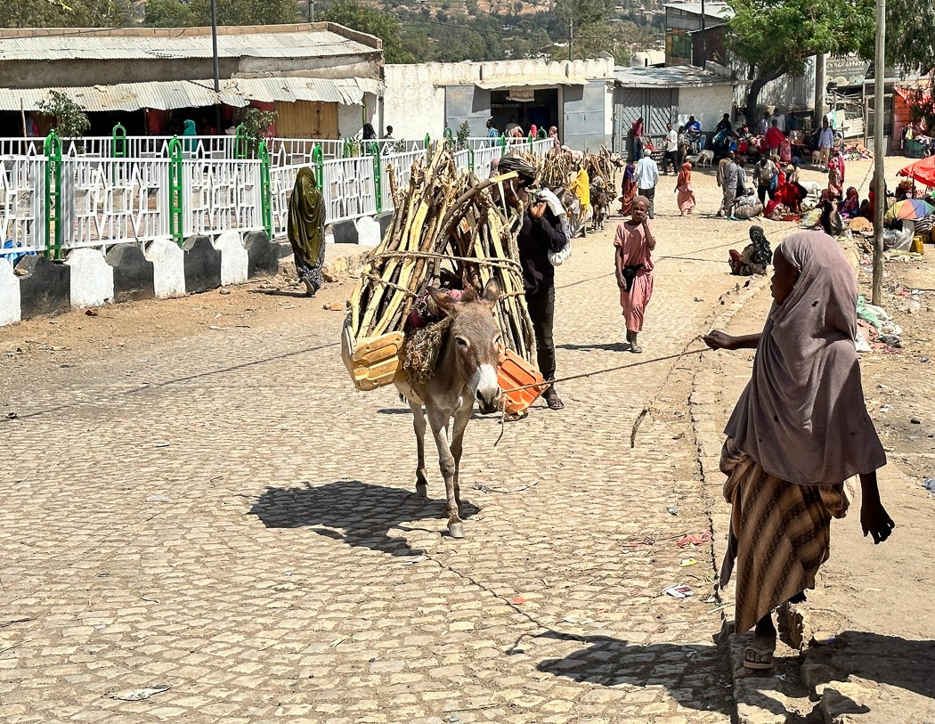 street scene of harar ethiopia on photo tour with Jayne McLean