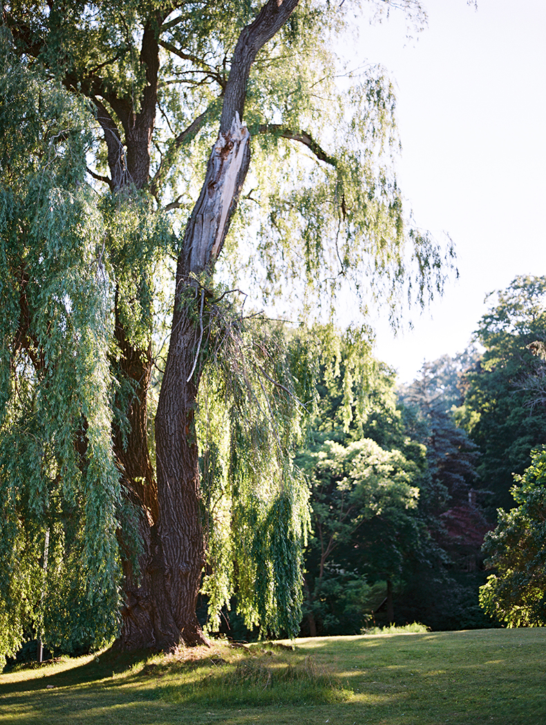 Eric&Richelle_Fine_Art_Film_Photography_Destination_Canada_Brumley & Wells432.jpg