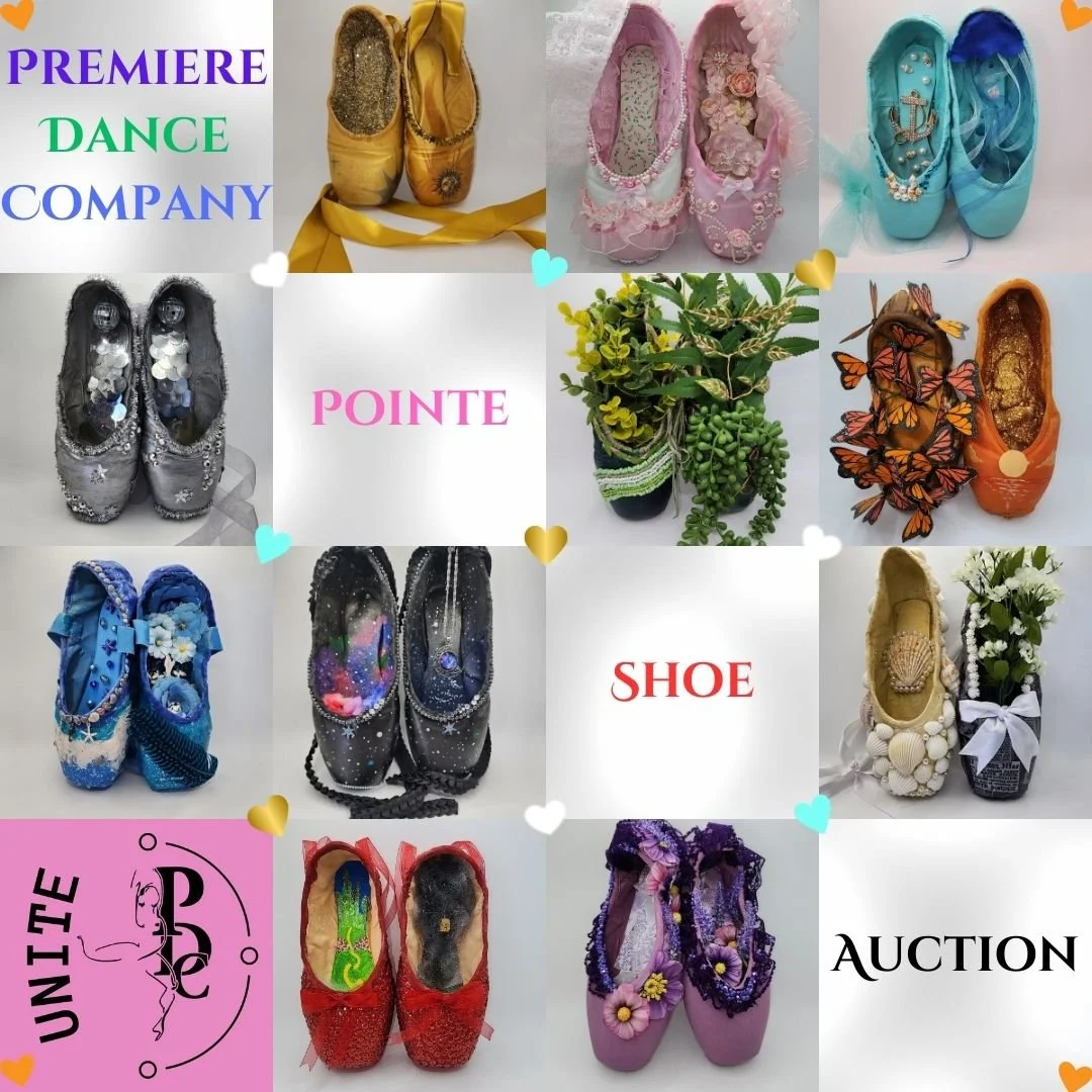 Pointe Shoe Auction launch.jpeg