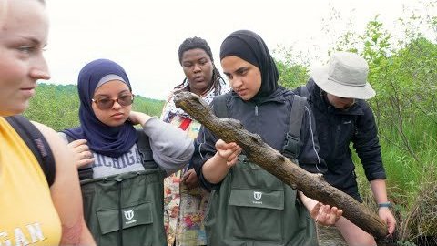 Look to Michigan - Inspiring What's Possible