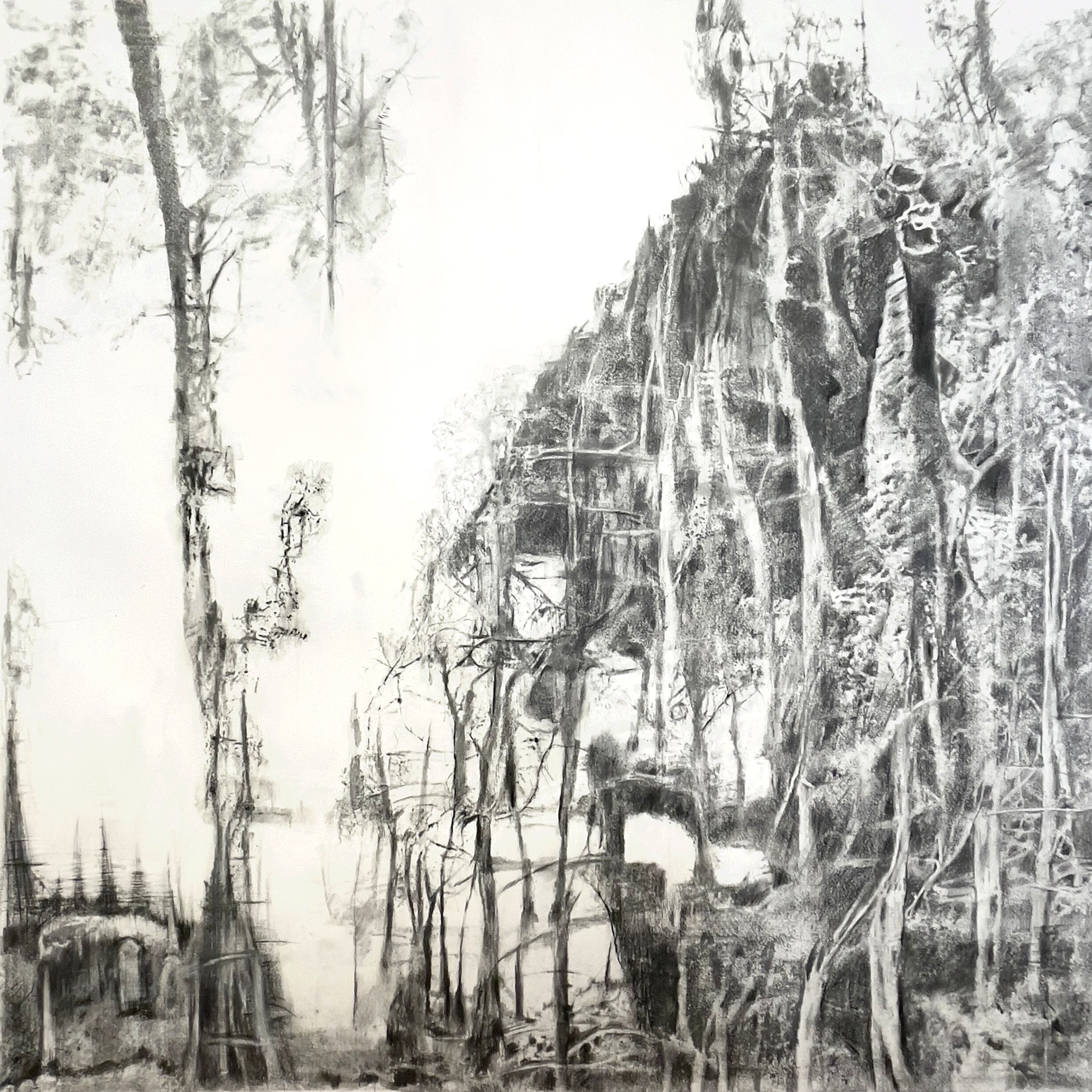 Ephemeral:  Graphite and ink on Fabriano paper, 97 x 97 cm, 2022