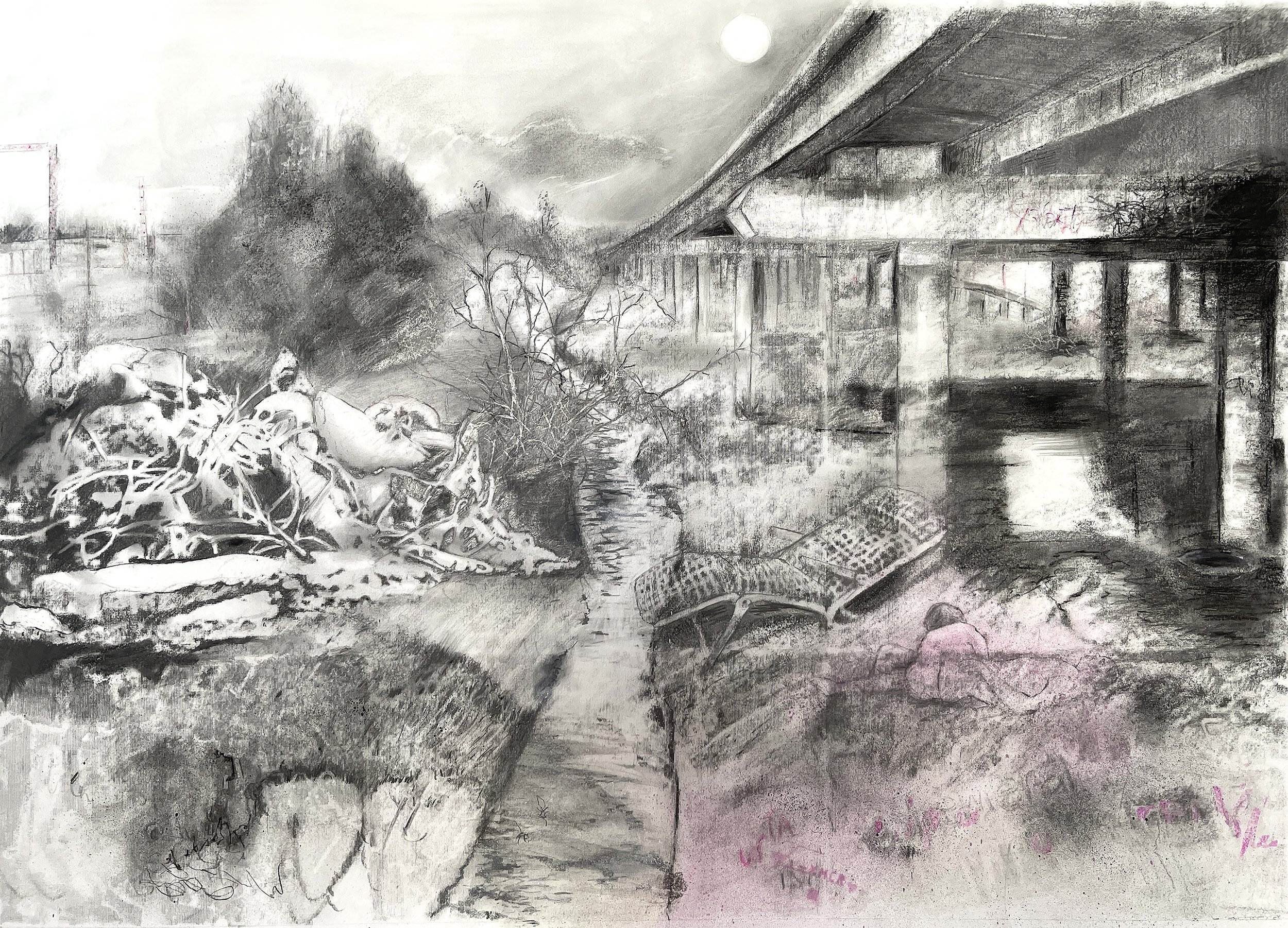 Some Kind of Nature:  Graphite, pencil, spray paint and ink on Fabriano paper 78 x 98 cm, 2022