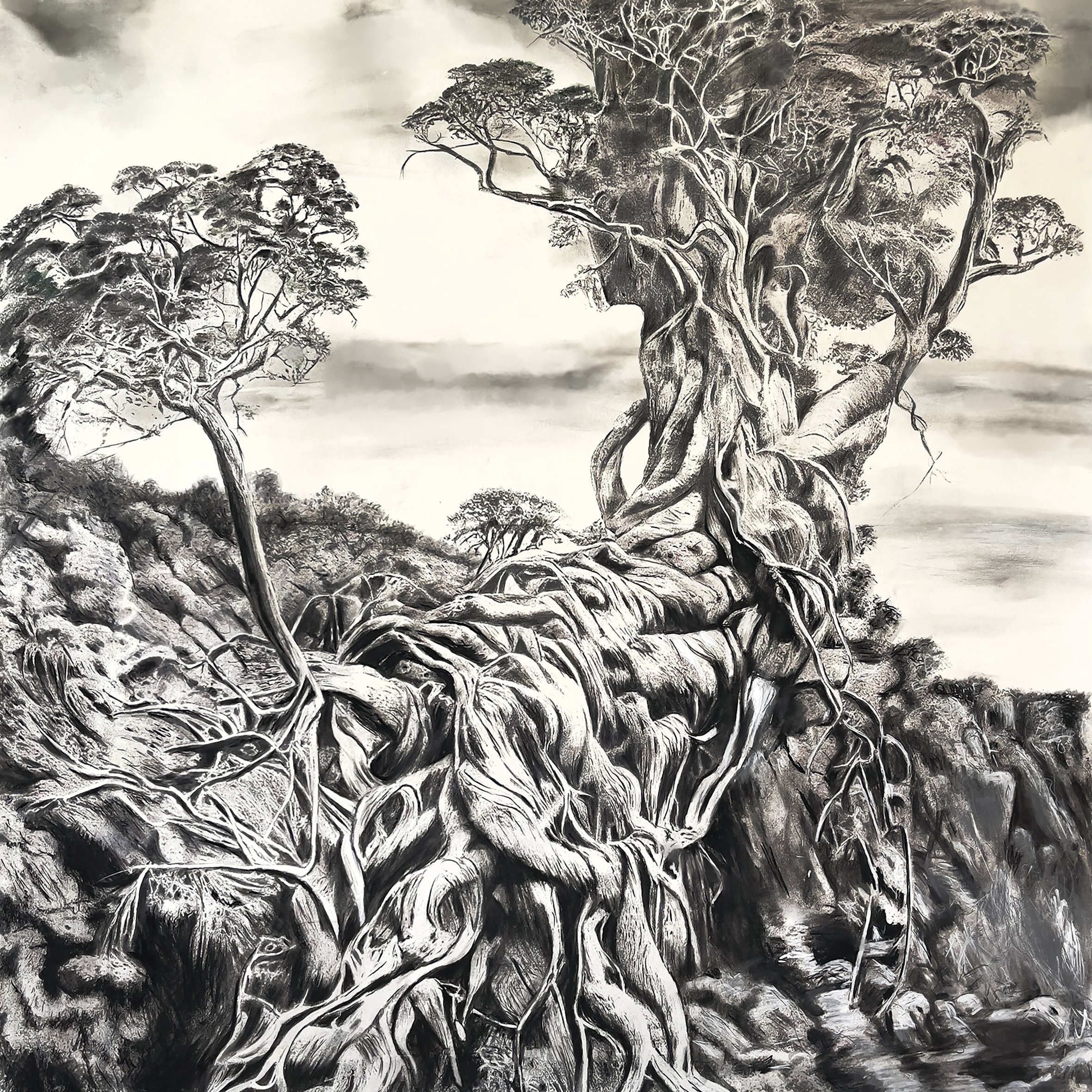 Lauern - Lie in Wait: Charcoal, graphite on water colour paper, 85 x 85 cm, 2023