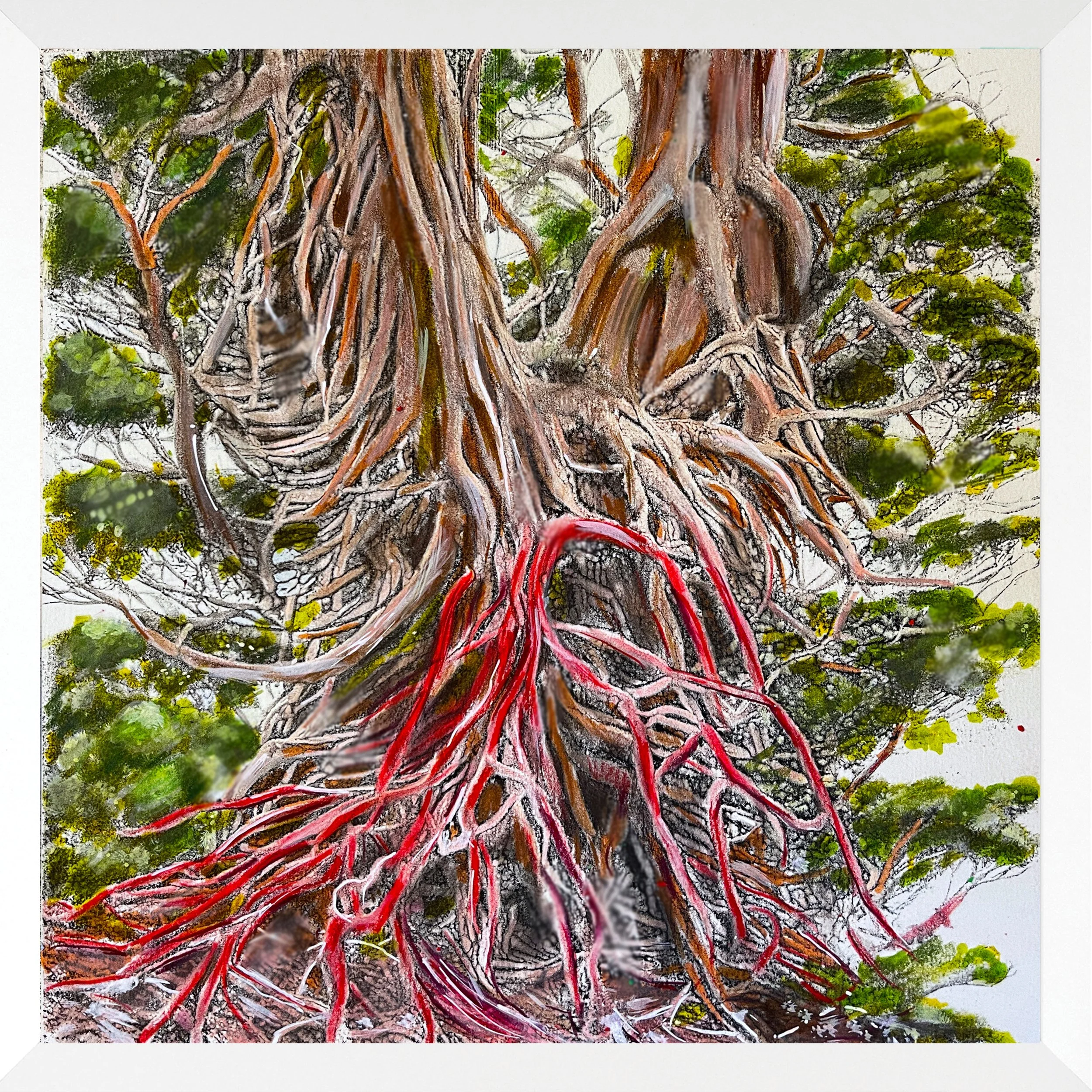 What lies Beneath (colour)