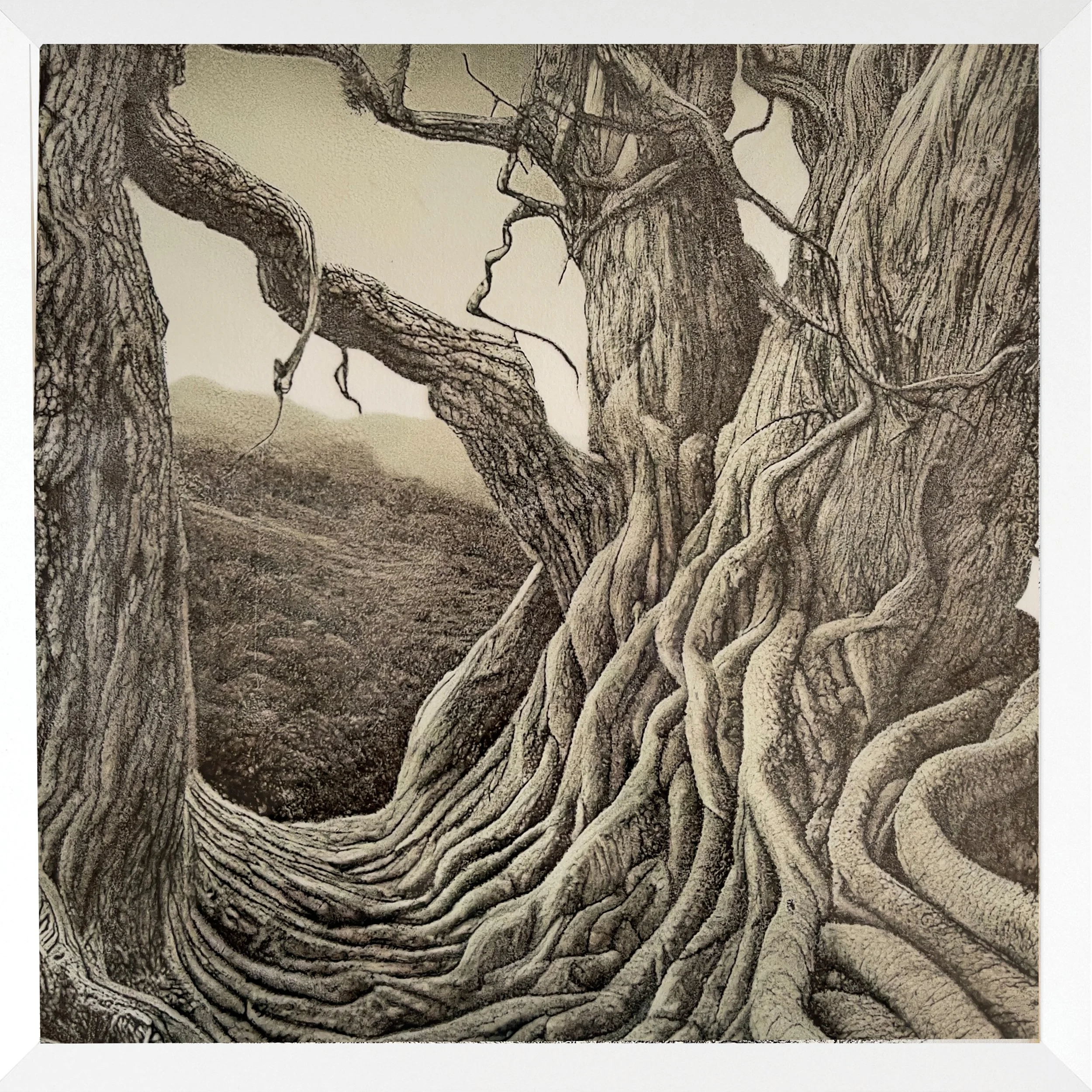 Drifting (black and white) 2023