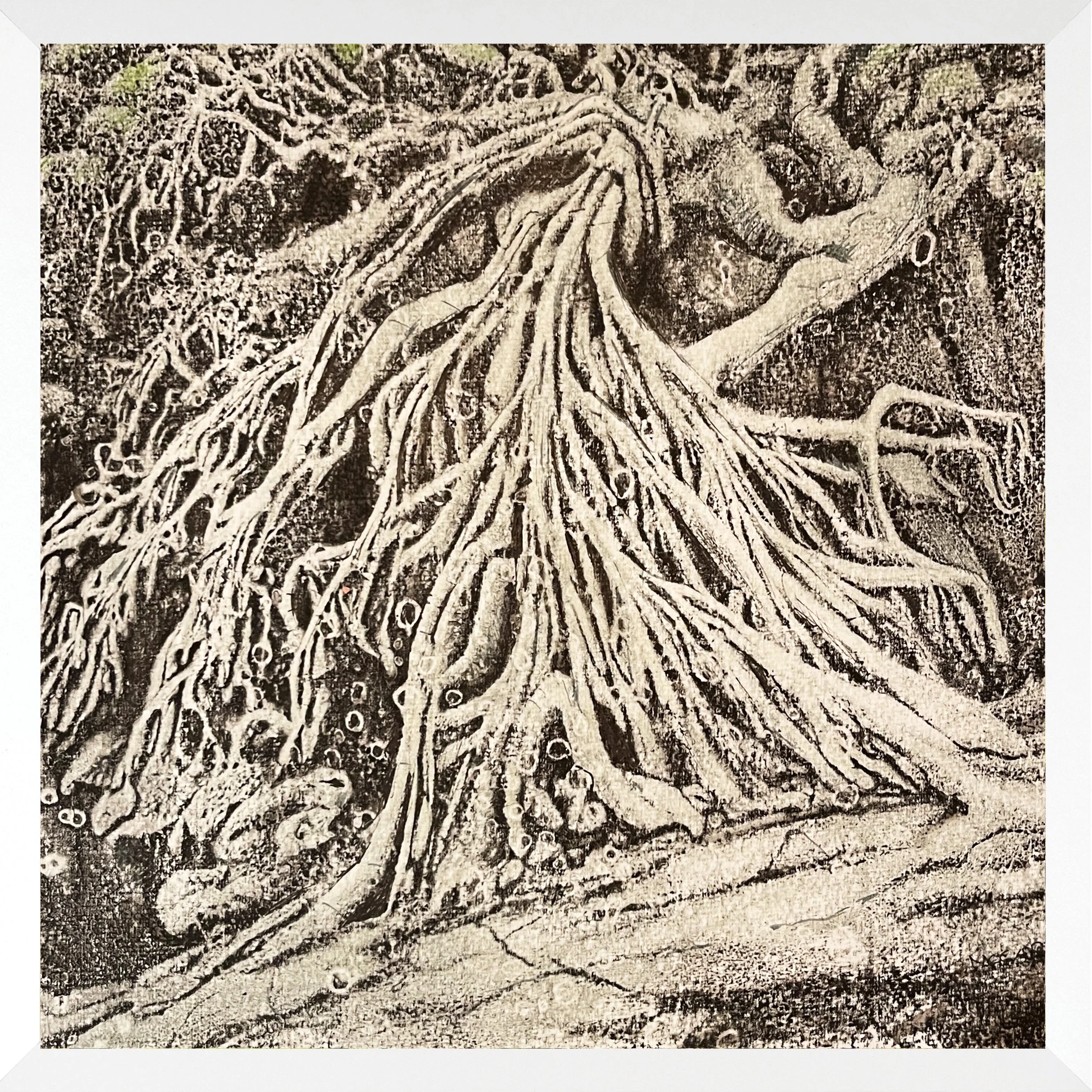 Between Worlds.
Hand drawn media over transfer pigment print. on paper (30x 30cm).
Available for purchase.