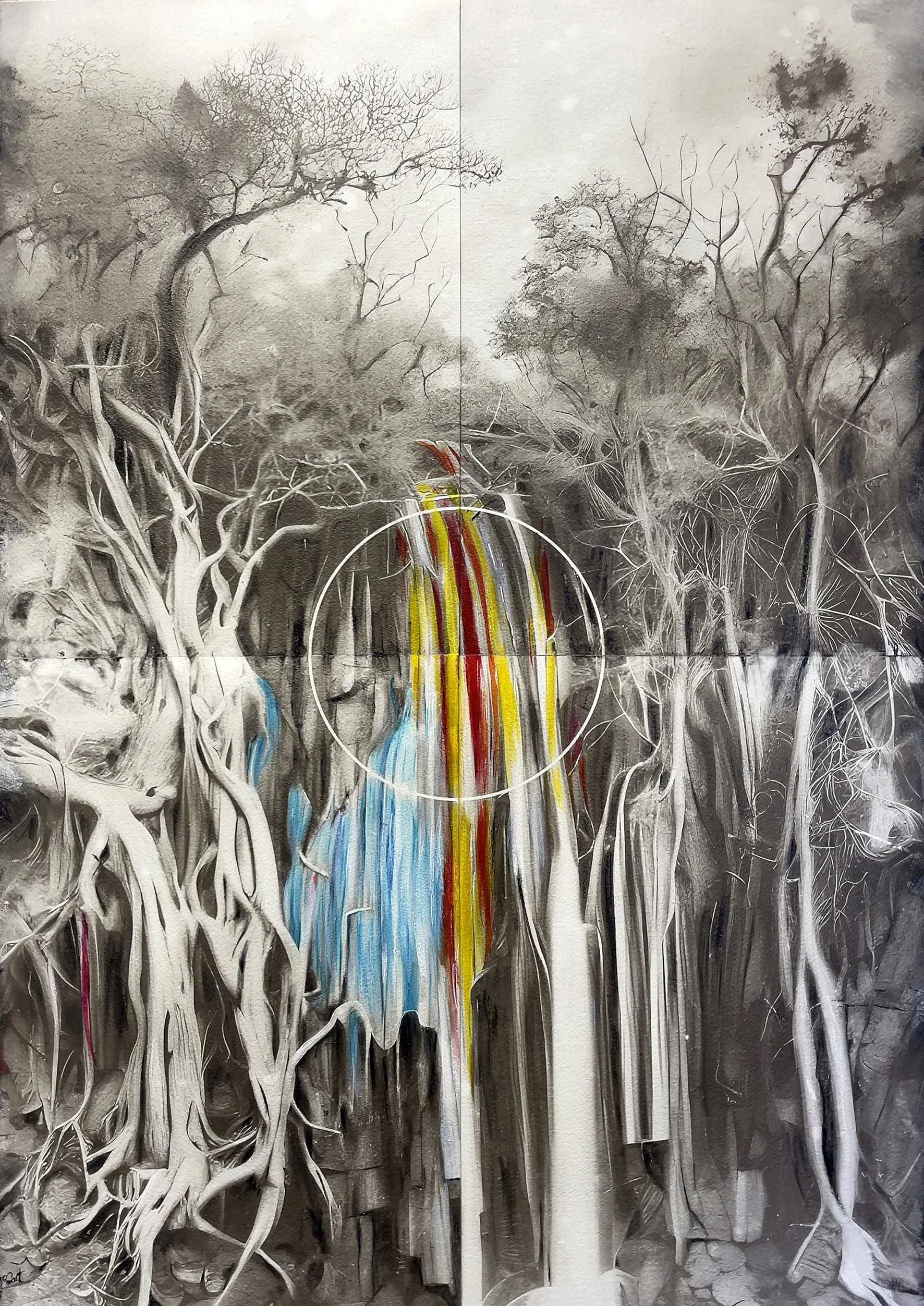2025 Screenic Waterfall.
Gelation, Ink and Carbon on paper.
70 X 90 cm.
Finalist in the 2025 Adelaide Perry Prize.